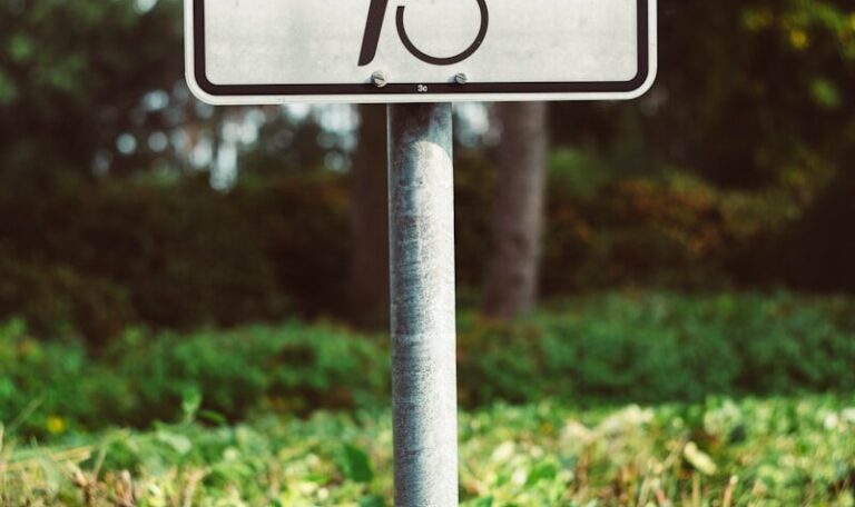 a handicapped sign in the middle of a field